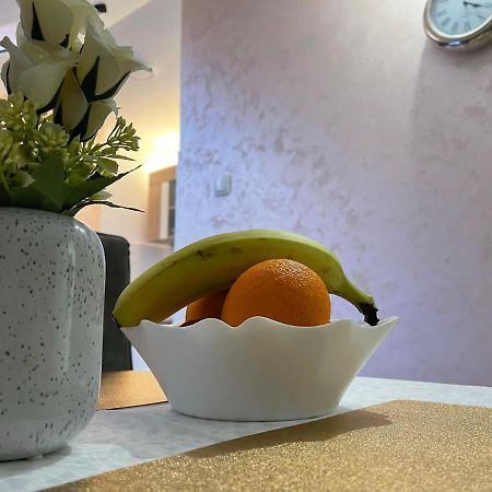 דירות סרמסקה מיטרוביקה Apartman 1 מראה חיצוני תמונה