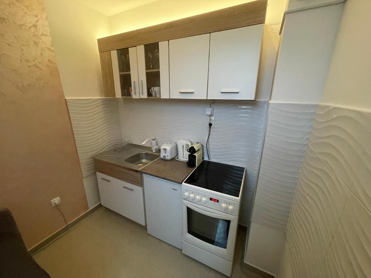 דירות סרמסקה מיטרוביקה Apartman 1 מראה חיצוני תמונה