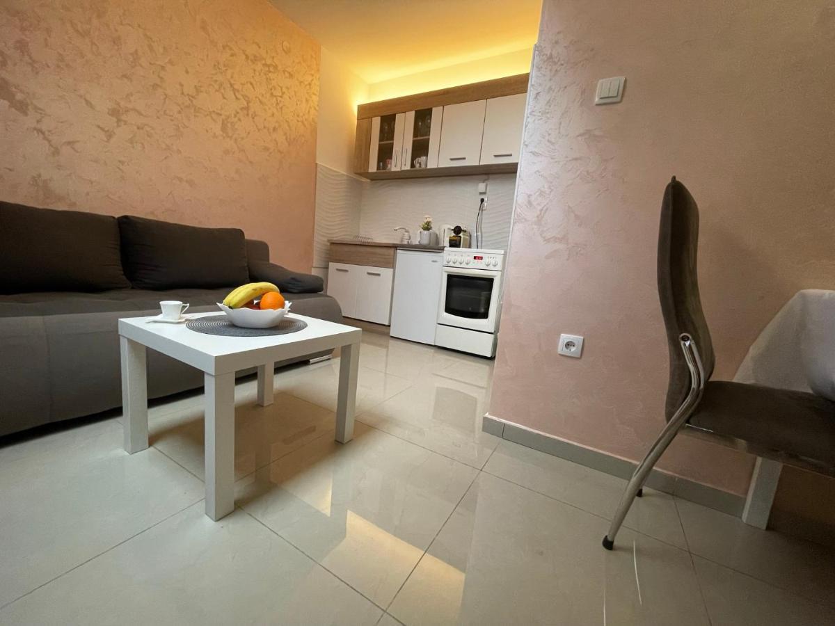 דירות סרמסקה מיטרוביקה Apartman 1 מראה חיצוני תמונה