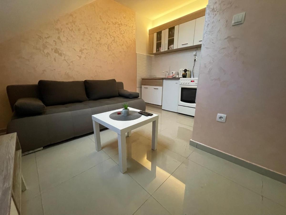דירות סרמסקה מיטרוביקה Apartman 1 מראה חיצוני תמונה